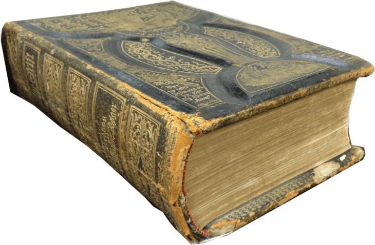 Cover Image - Wood (730x478), Png Download