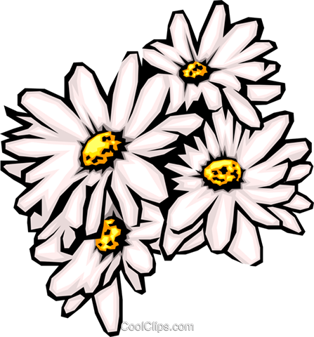 Daisies Royalty Free Vector Clip Art Illustration - Daisy Clip Art (447x480), Png Download