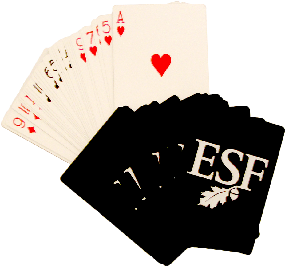 Playing Cards - Ranger School: A Century In The Forest (1000x1000), Png Download