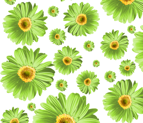 Green Daisies Fabric By Ophelia On Spoonflower - Gerbera Daisy Green Png (470x403), Png Download