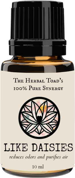 Like Daisies (700x700), Png Download