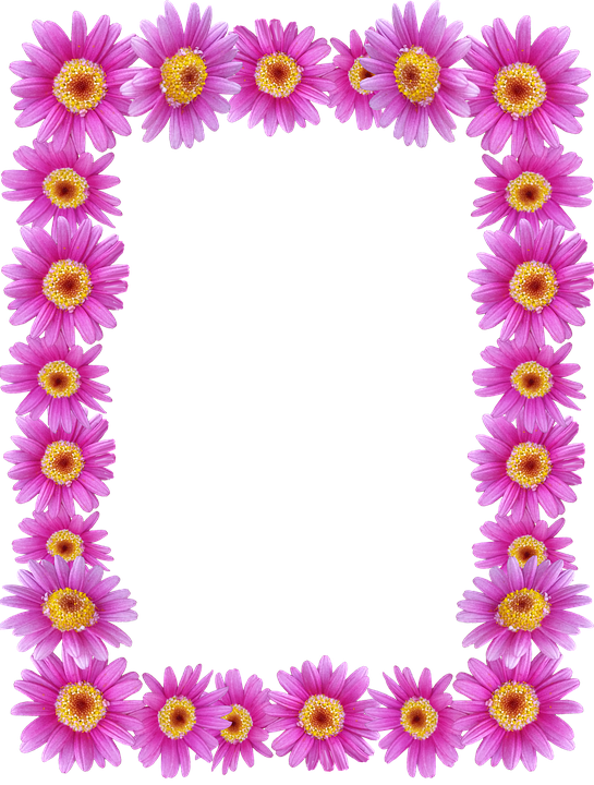 Frame, Border, Daisies, Floral, Decorative - Marco De Flores Png (545x720), Png Download