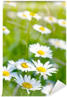 Yellow (400x400), Png Download