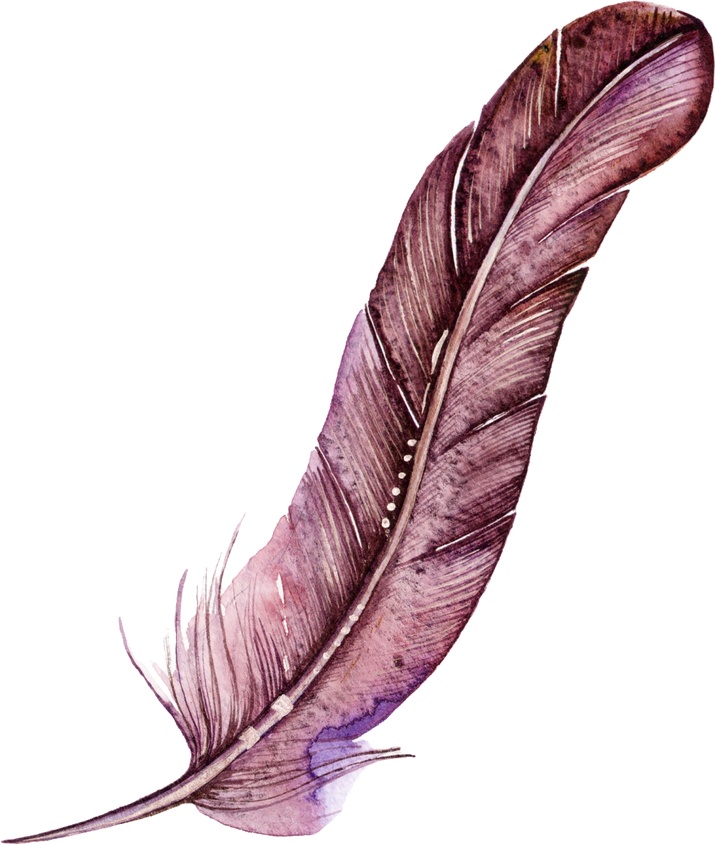 Dark Red Feather Cartoon Watercolor Beautiful Transparent - Pouzdro / Kryt Na Mobil Isaprio Fresh - Flower Pattern (1024x1210), Png Download