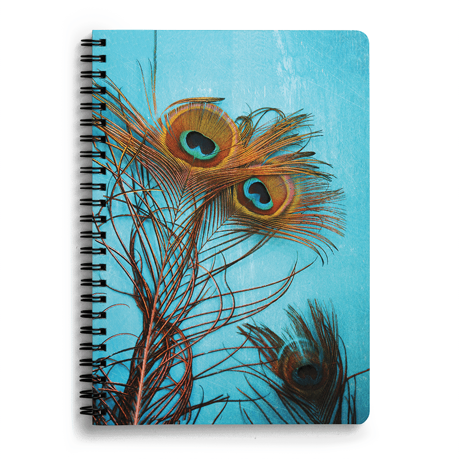 Dailyobjects 3 Peacock Feathers A5 Notebook Plain Buy - 3 Peacock Feathers Canvas Print - Small By Sylvia Cook (900x900), Png Download
