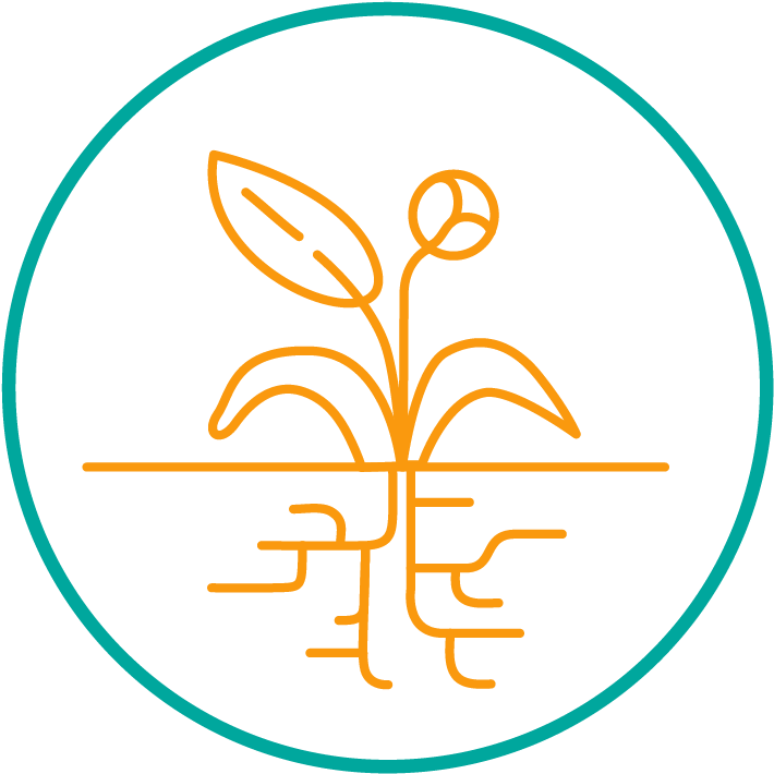 Hyi Icon Growth 01 - Icon (833x833), Png Download