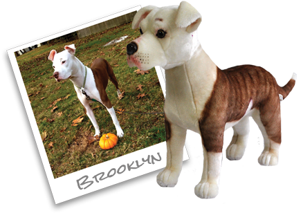 Brooklyninstagram - Toy (510x510), Png Download