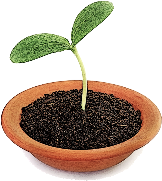 Return To Paradigm Change Resources - Pumpkin (732x719), Png Download