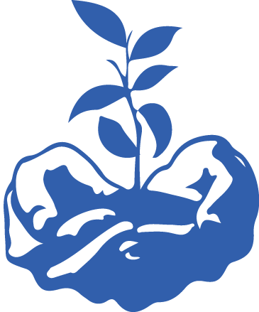 Hand Holding A Seedling - Icon For Social Justice (365x439), Png Download