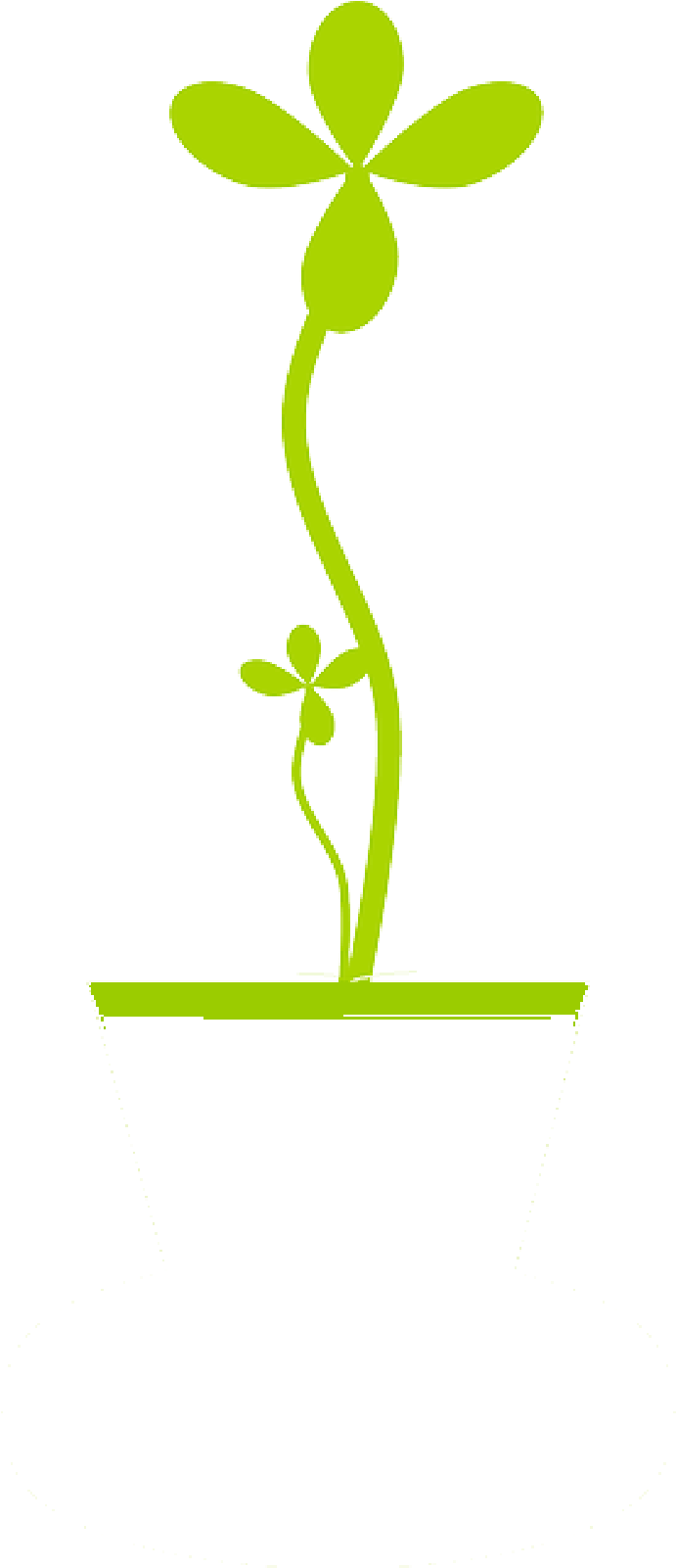 Mb Image/png - Flowerpot (800x1600), Png Download