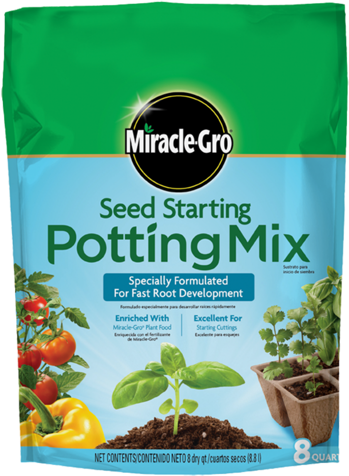 Seedling Png (741x1000), Png Download