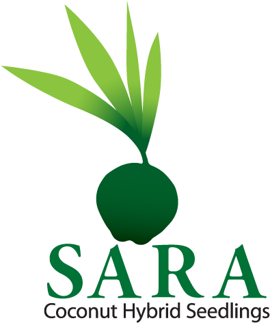 Contact For The Best Sara Coconut Hybrid Seedlings - Sastra Deemed To Be University Logo (526x489), Png Download