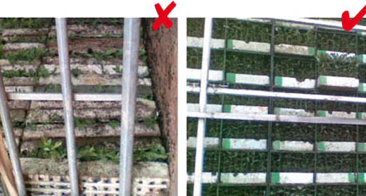 Healthy And Unhealthy Seedlings - Health (520x278), Png Download