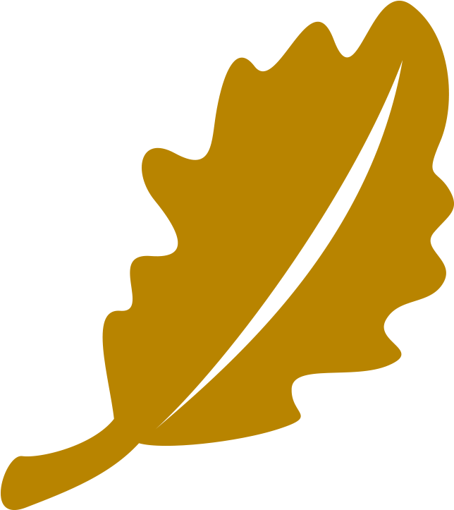 Oakleaf - Sacramento Adventist Academy (656x725), Png Download