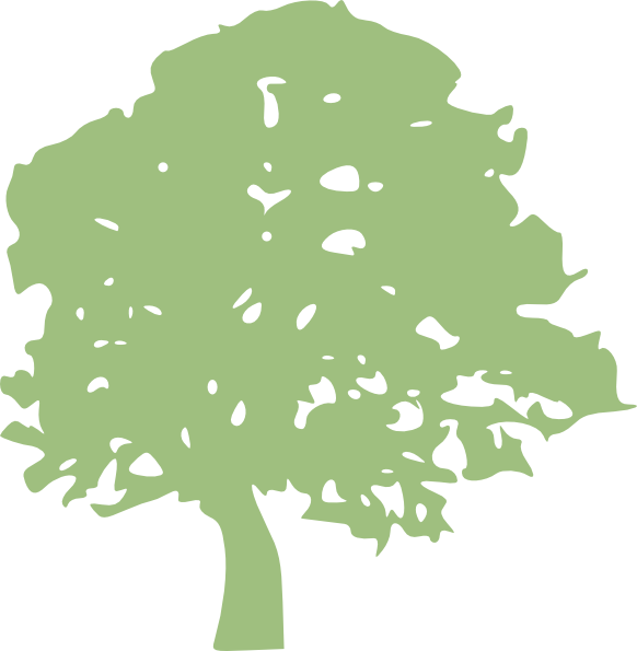 How To Set Use Oak Tree Icon Png (582x595), Png Download