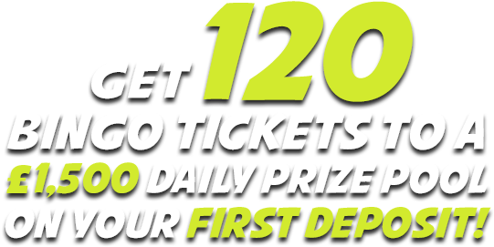 Bingo (551x276), Png Download