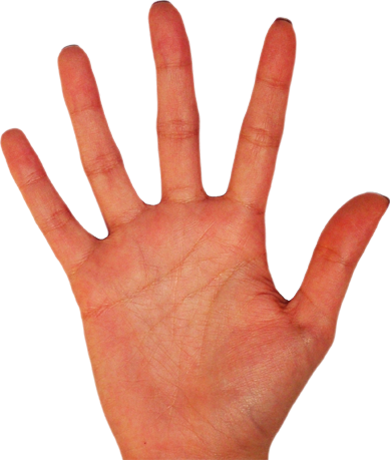 Palm Of Hand Png (390x460), Png Download