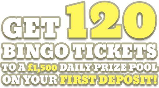 Bingo (509x342), Png Download