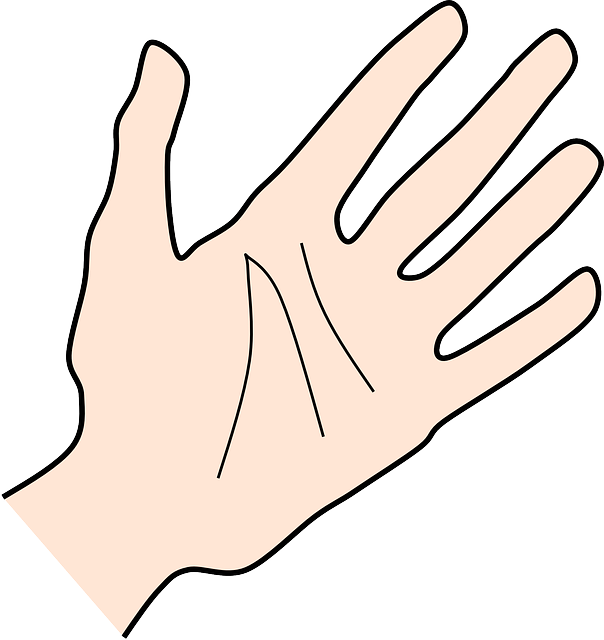 Hand, Palm, Human, Fingers - Clip Art (604x640), Png Download
