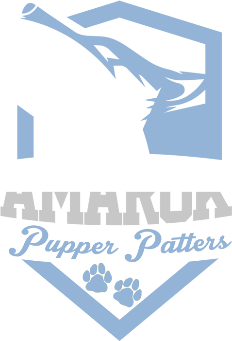 Esports (600x772), Png Download