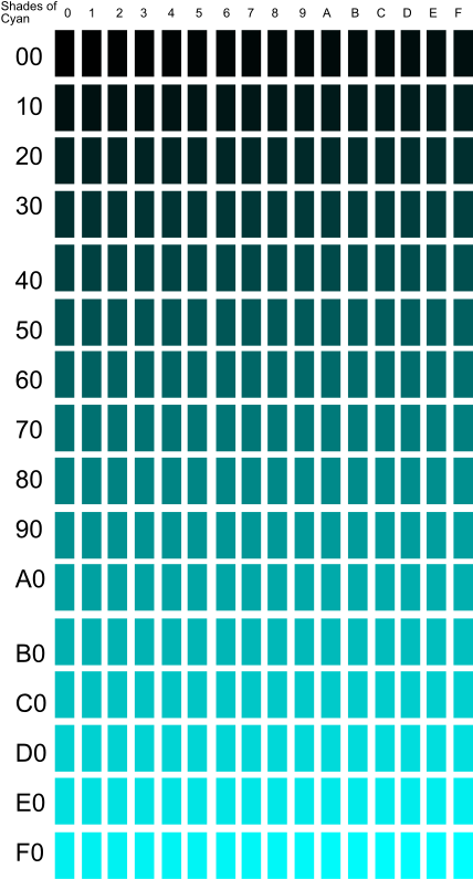 Shades Of Cyan - P And Co Watch (440x800), Png Download