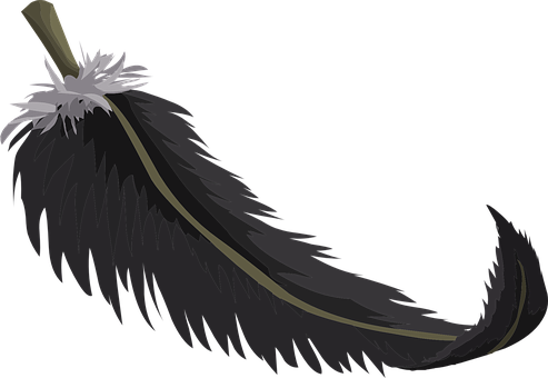 Black Feather Plumage Birds Dark Growth Ti - Quill Clipart Png (493x340), Png Download