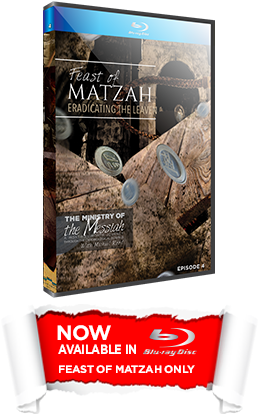 Picture Of April 2016 Love Gift - Banana Republic Coupons Printable (450x450), Png Download