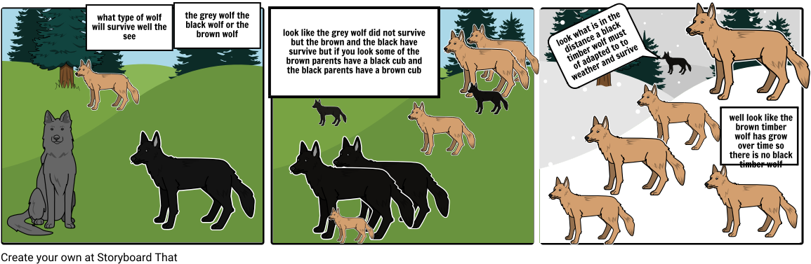 The Lone Black Timber Wolf - Wolf (1164x385), Png Download