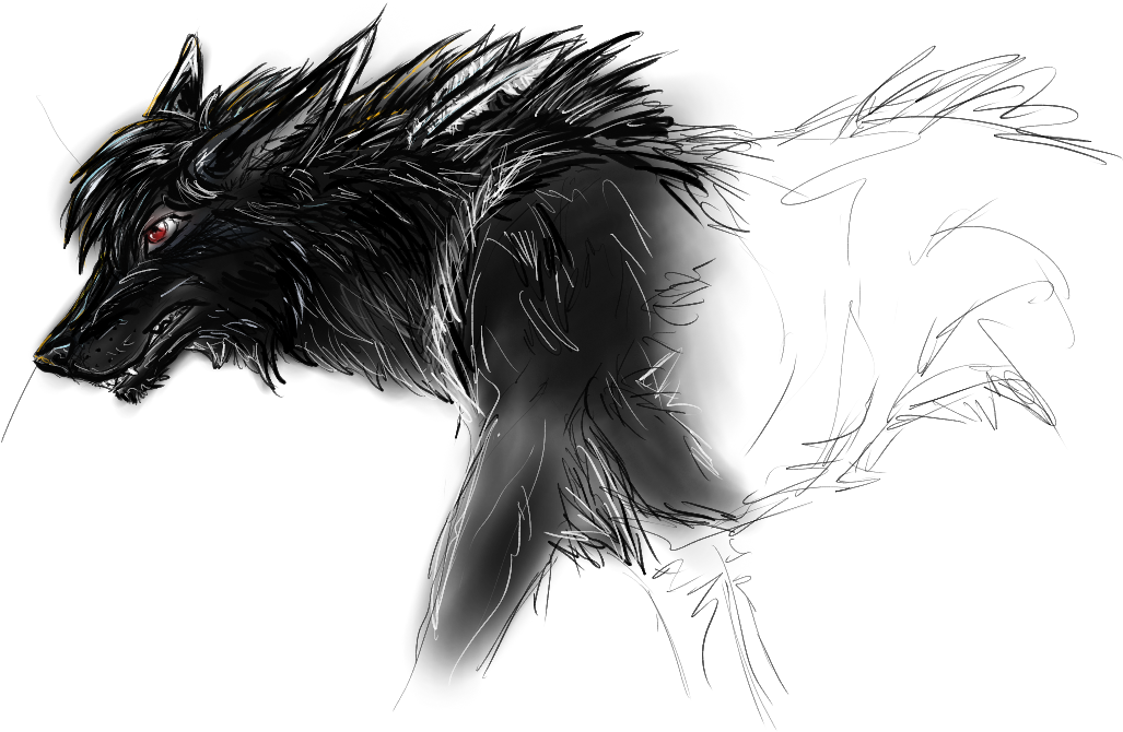 Dark Wolf - Dark Wolf Transparent (1088x704), Png Download