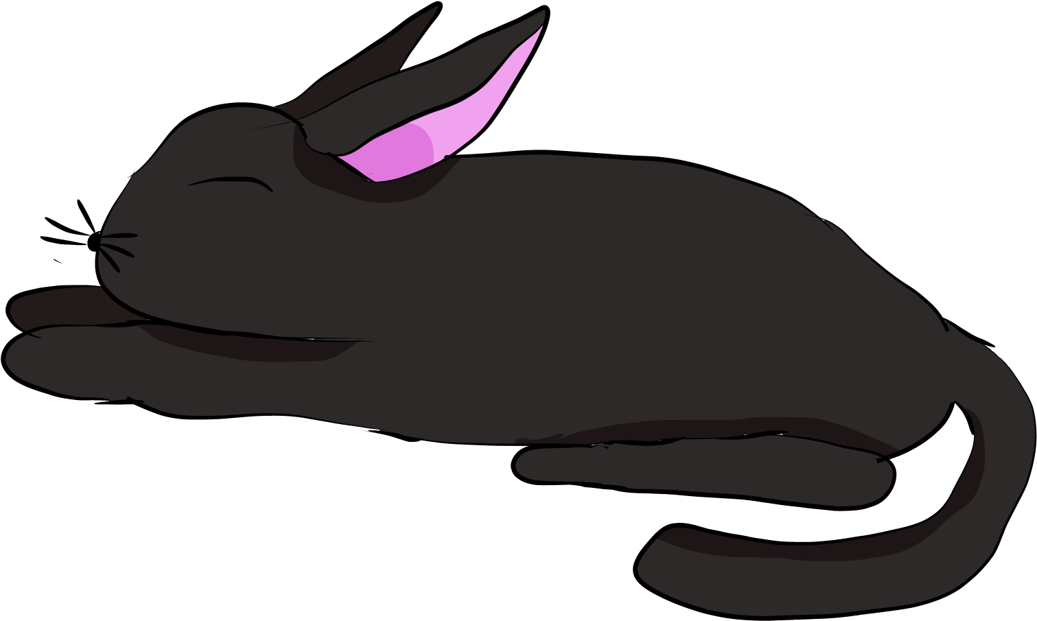 Day - Rabbit (2000x2000), Png Download