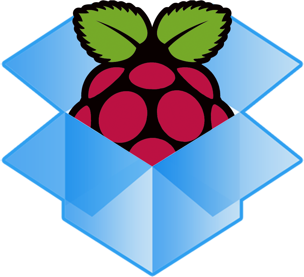 Download Raspberry Pi Logo PNG Image with No Background - PNGkey.com