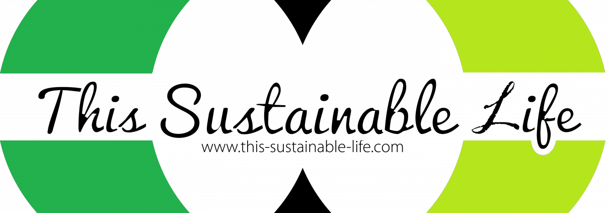 Reflection On The Concept Of Sustainability - Sustainability (1210x423), Png Download