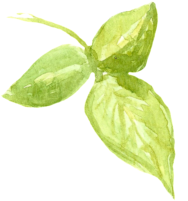 Portable Network Graphics (1024x954), Png Download