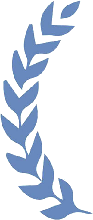 High Honor - Beste Opleider Van Nederland (320x734), Png Download