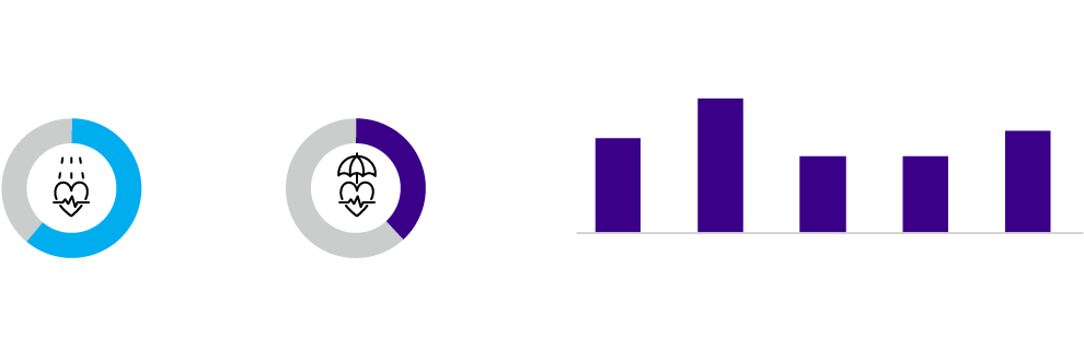 Affordability Is A Significant Concern For Both Insured - Graphic Design (1000x308), Png Download