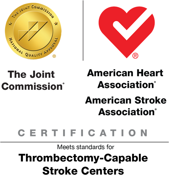 Dsc Aha Thrombo Logo Final - Primary Stroke Center (576x600), Png Download