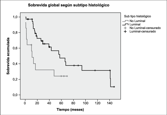 Sobrevida Global De Una Cohorte De Pacientes Con Cáncer - Breast Cancer (538x372), Png Download
