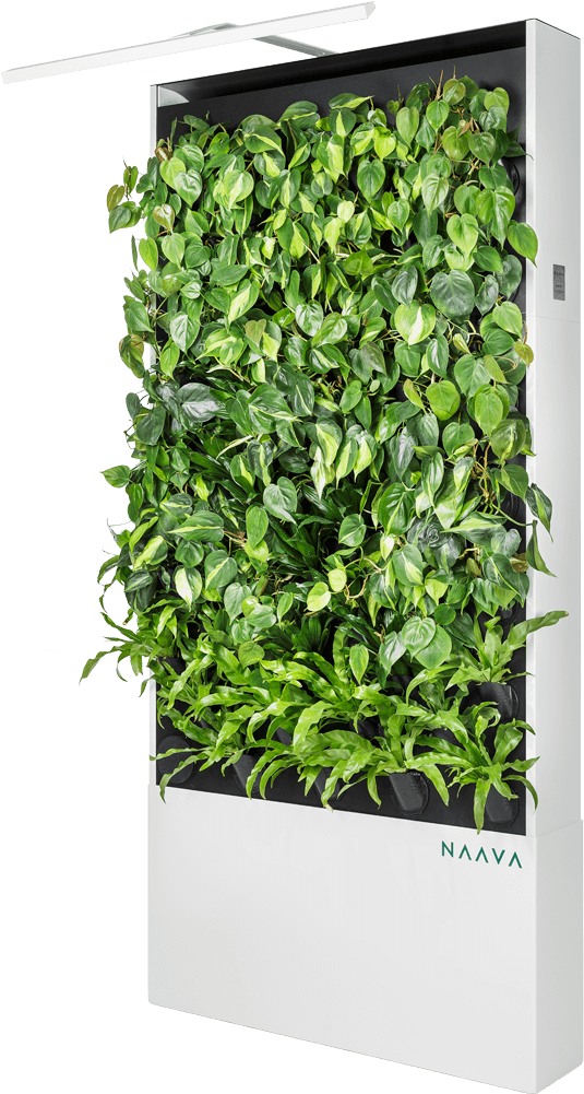 Naava One Slim White - Science (640x1120), Png Download