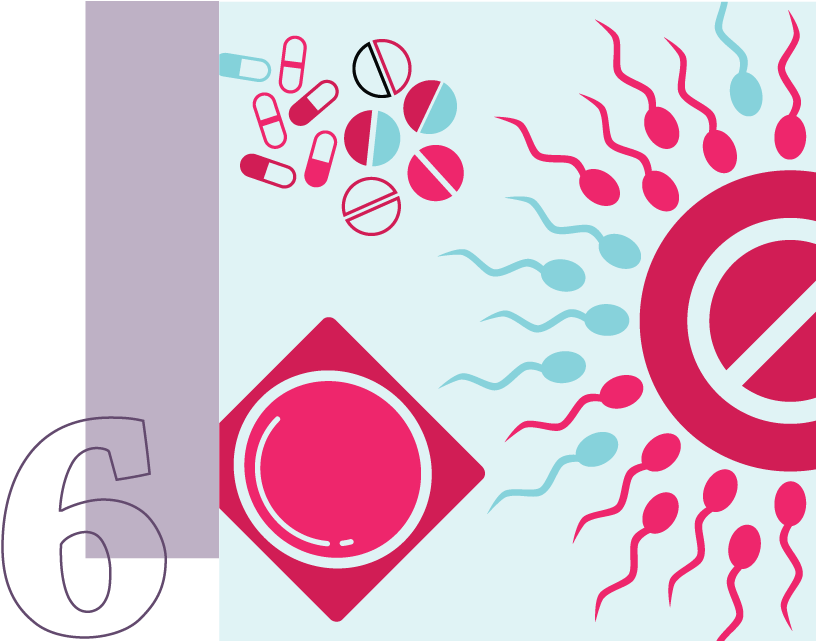 6 - Infografia De Planificacion Familiar Mexico (822x640), Png Download