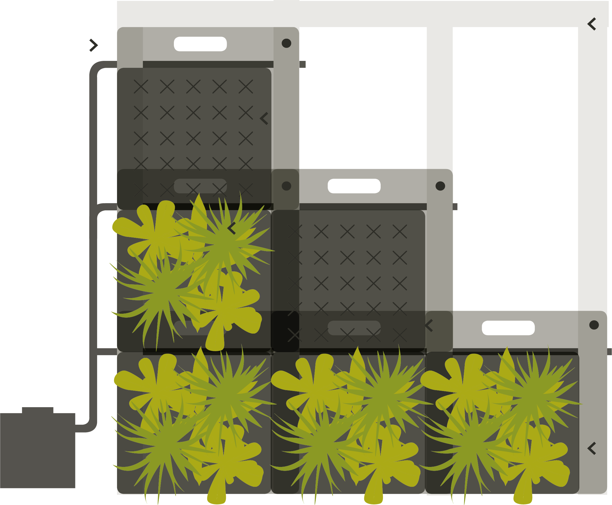 Structure Of A Sempergreenwall - Structure (2119x1750), Png Download