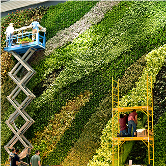 Green Wall Installations - New York City (375x375), Png Download