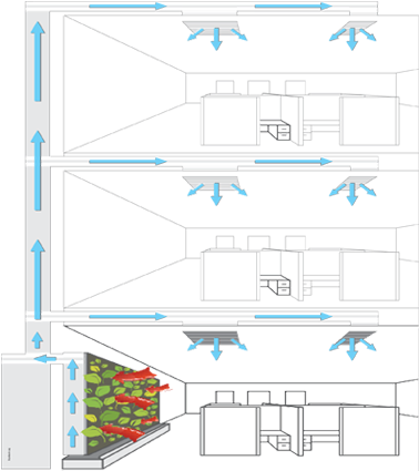 How Do Living Green Walls Work - Airflow (500x424), Png Download