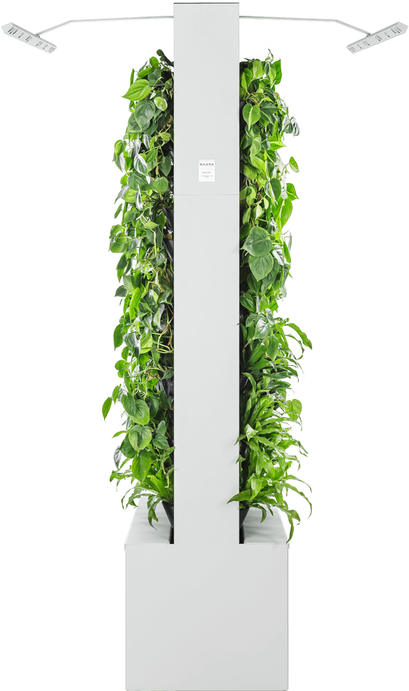 Naava Duo White Side - Shelf (640x1120), Png Download