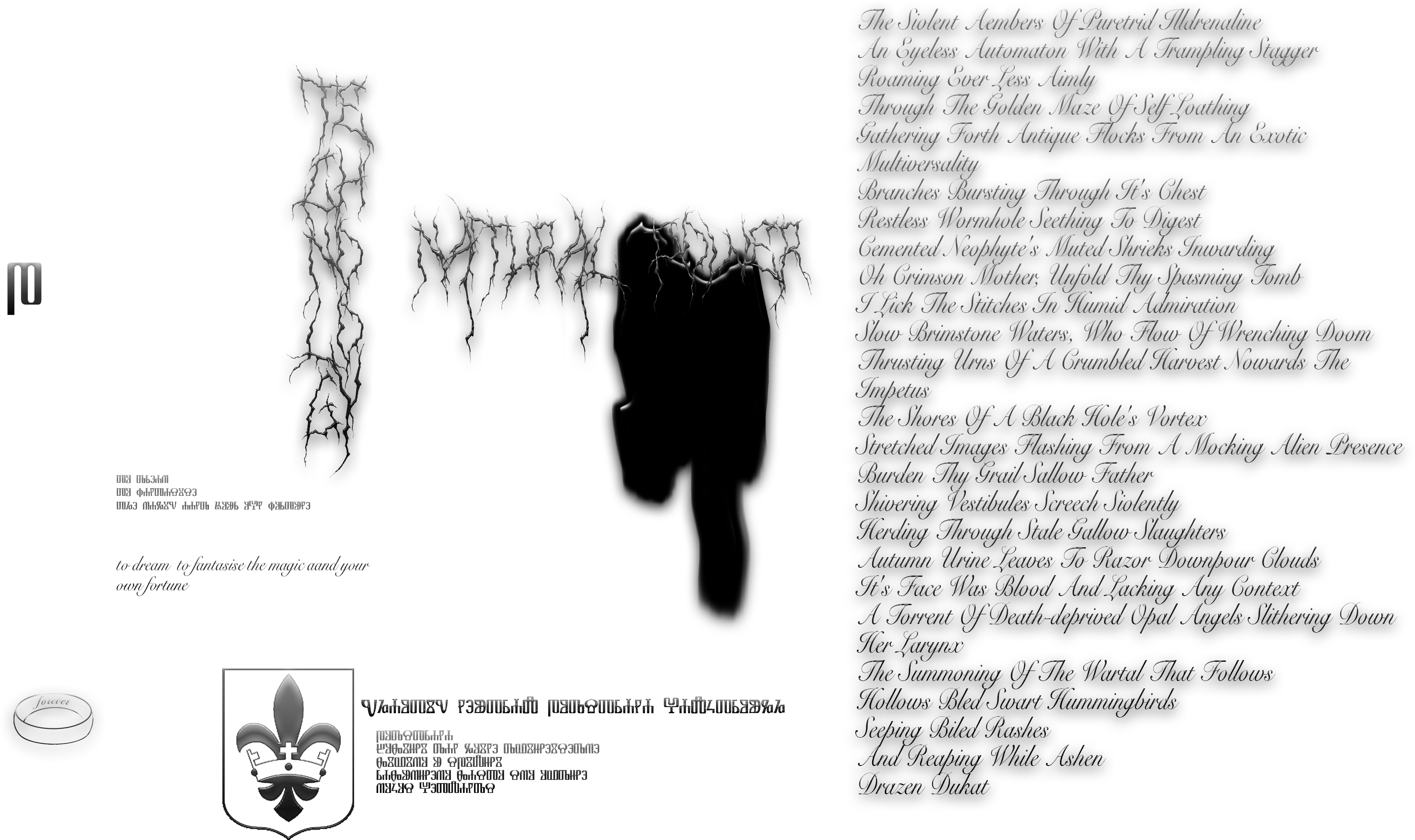 Forest (3508x2480), Png Download