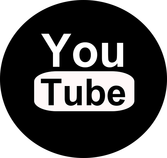 Free Illustration You Tube Black Youtube Icon Png - Beyond Type 1 Logo (640x608), Png Download
