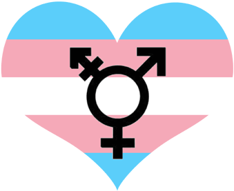 Partners Of Trans*/non-binary Individuals Support Group - All Gender Symbol T-shirt Gay Lgbt Transgender Pride (400x321), Png Download