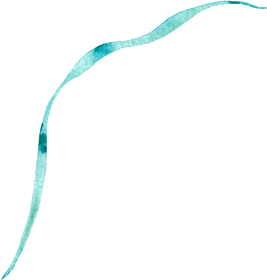 Smile (1024x1109), Png Download