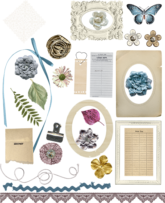 Embellishments - Illustration (550x712), Png Download