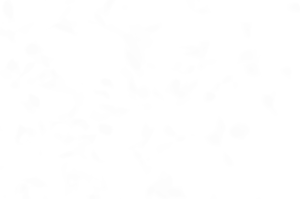 Article-fade - Monochrome (956x636), Png Download