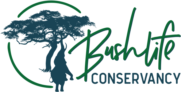 A Proportion Of All Profits From Talks, Image Sales, - Mudhut Tree Decorative Pillow - Cream (14x18") (640x344), Png Download